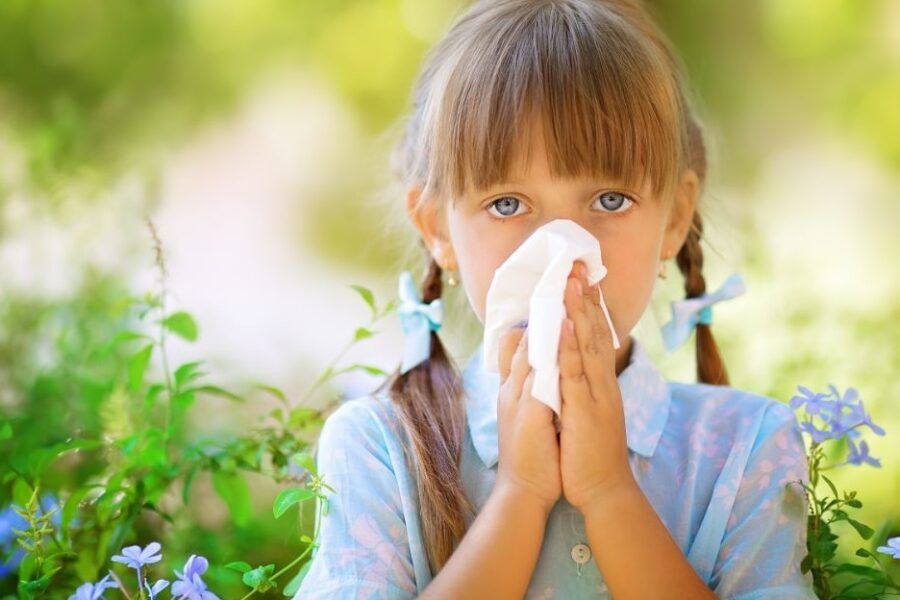 pediatric allergy