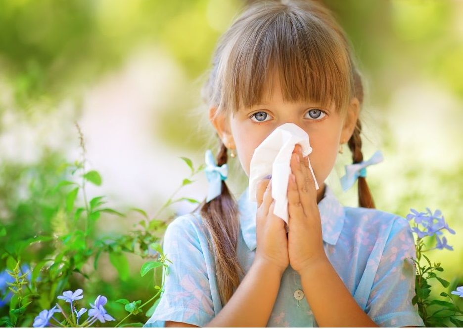 pediatric allergy